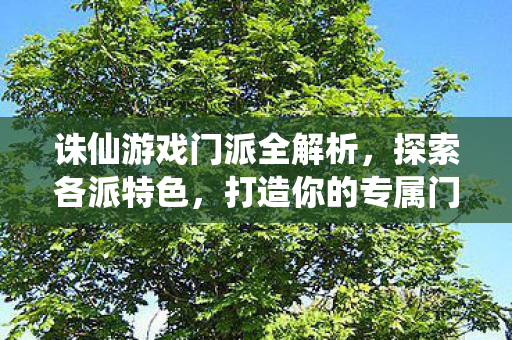 打造你的专属门派体验图片