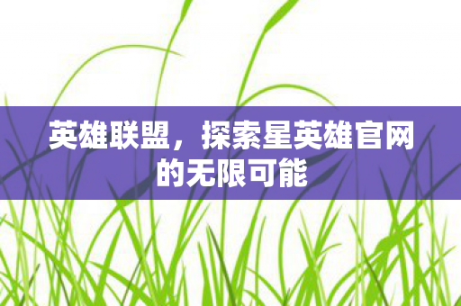 探索星英雄官网的无限可能图片