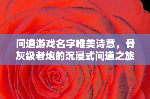 问道游戏名字唯美诗意,骨灰级老炮的沉浸式问道之旅 问道游戏名字唯美诗意,骨灰级老炮的沉浸式问道之旅