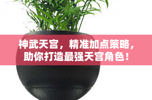 助你打造最强天宫角色图片