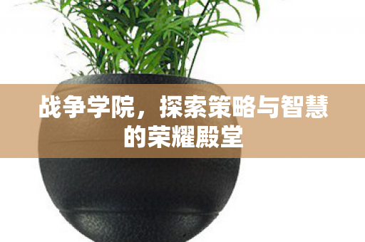 探索策略与智慧的荣耀殿堂图片