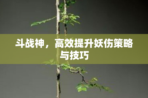 高效提升妖伤策略与技巧图片