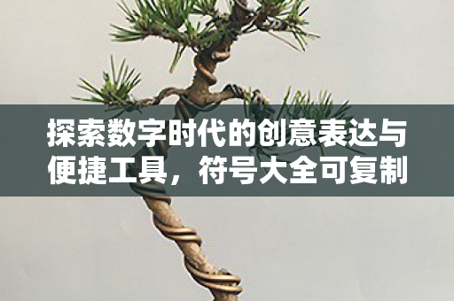 探索数字时代的创意表达与便捷工具图片