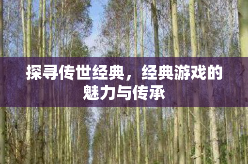经典游戏的魅力与传承图片