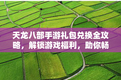 天龙八部手游礼包兑换全攻略图片