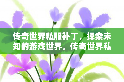 传奇世界私服补丁,探索未知的游戏世界,传奇世界私服补丁,解锁未知游戏世界的大门 传奇世界私服补丁,探索未知的游戏世界,传奇世界私服补丁,解锁未知游戏世界的大门
