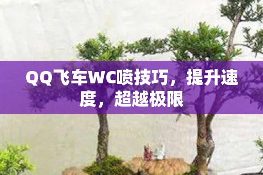 QQ飞车WC喷技巧图片