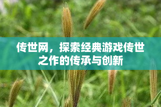 探索经典游戏传世之作的传承与创新图片