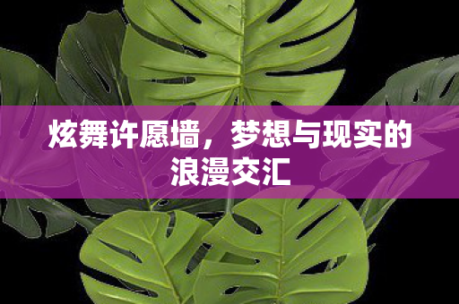 梦想与现实的浪漫交汇图片