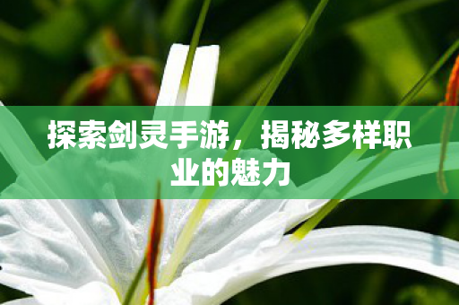 探索剑灵手游,揭秘多样职业的魅力 探索剑灵手游,揭秘多样职业的魅力