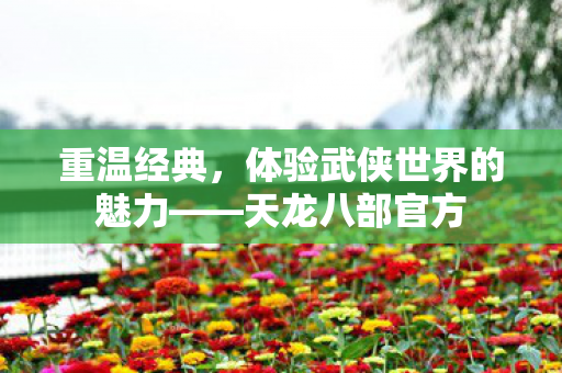 体验武侠世界的魅力图片