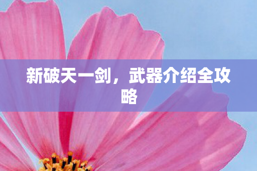 武器介绍全攻略图片