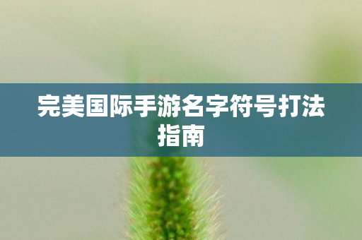 完美国际手游名字符号打法指南图片