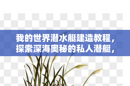 我的世界潜水艇建造教程,探索深海奥秘的私人潜艇,探索深海奥秘,私人潜水艇建造教程 我的世界潜水艇建造教程,探索深海奥秘的私人潜艇,探索深海奥秘,私人潜水艇建造教程
