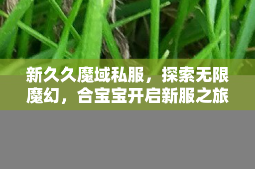 合宝宝开启新服之旅图片