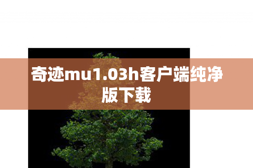 03h客户端纯净版下载图片