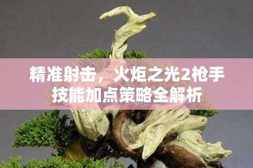 火炬之光2枪手技能加点策略全解析图片