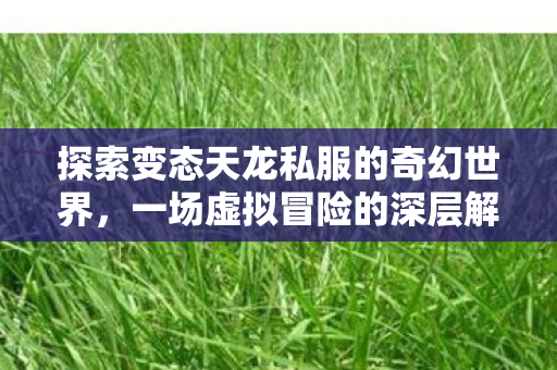 探索变态天龙私服的奇幻世界，一场虚拟冒险的深层解析，探索变态天龙私服的奇幻世界，一场虚拟冒险的深层解析