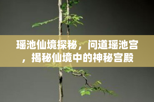 揭秘仙境中的神秘宫殿图片