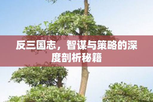 智谋与策略的深度剖析秘籍图片