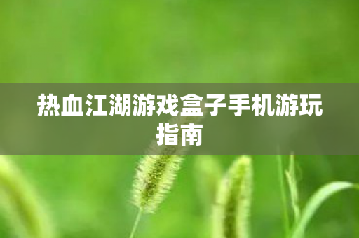 热血江湖游戏盒子手机游玩指南图片