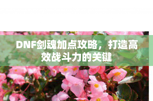 打造高效战斗力的关键图片
