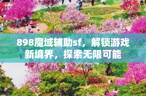898魔域辅助sf图片