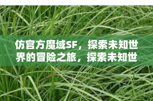 探索未知世界的冒险之旅图片