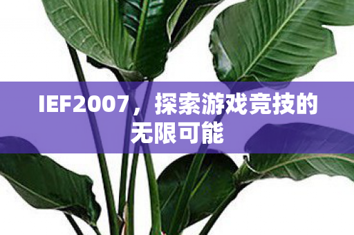 探索游戏竞技的无限可能图片