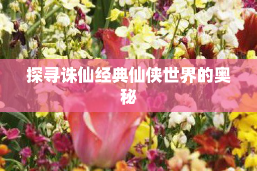 探寻诛仙经典仙侠世界的奥秘图片