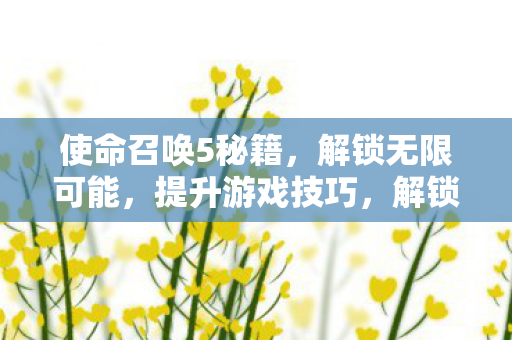 使命召唤5秘籍助你提升游戏技巧图片