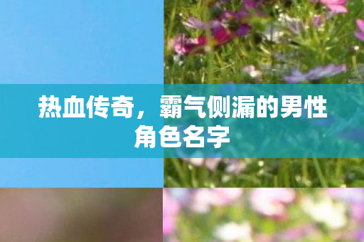 霸气侧漏的男性角色名字图片