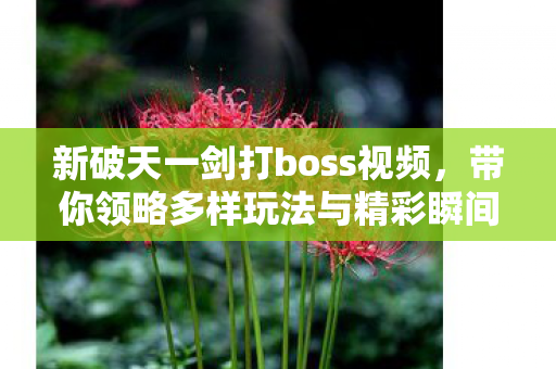 新破天一剑打boss视频,带你领略多样玩法与精彩瞬间 新破天一剑打boss视频,带你领略多样玩法与精彩瞬间