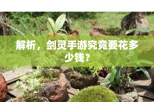 解析,剑灵手游究竟要花多少钱? 解析,剑灵手游究竟要花多少钱?