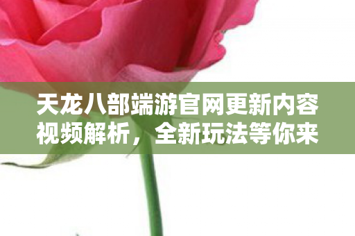 天龙八部端游官网更新内容视频解析图片