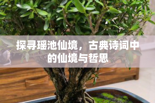 古典诗词中的仙境与哲思图片