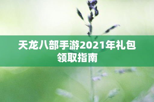 天龙八部手游2021年礼包领取指南图片