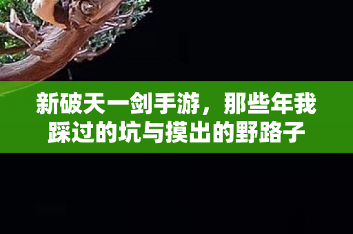 新破天一剑手游,那些年我踩过的坑与摸出的野路子 新破天一剑手游,那些年我踩过的坑与摸出的野路子