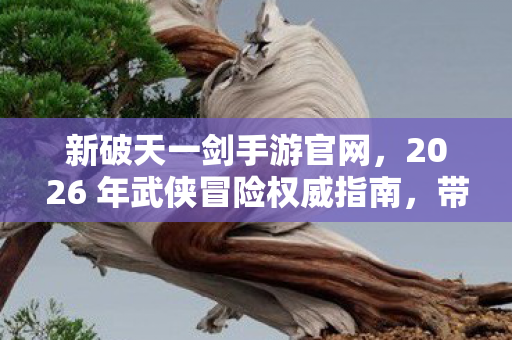 新破天一剑手游官网，2026 年武侠冒险权威指南，带你畅享极致玩法