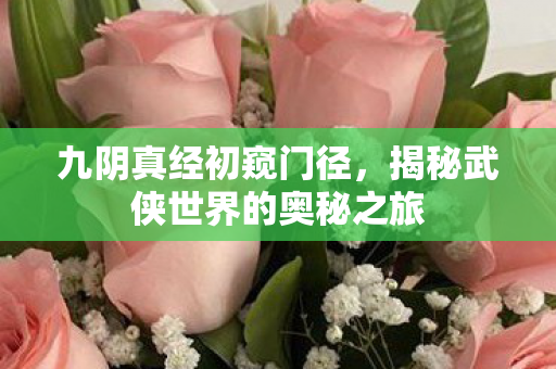 揭秘武侠世界的奥秘之旅图片