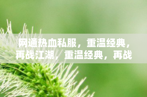 网通热血私服等你来战图片