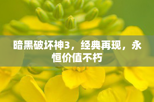 暗黑破坏神3图片