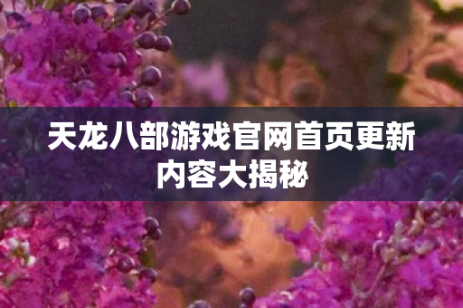 天龙八部游戏官网首页更新内容大揭秘图片