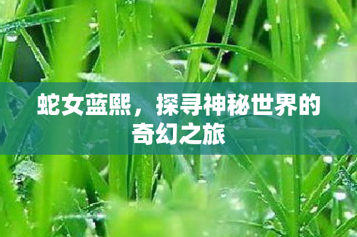 探寻神秘世界的奇幻之旅图片