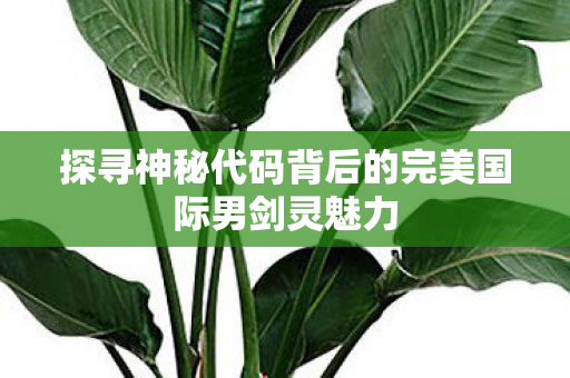 探寻神秘代码背后的完美国际男剑灵魅力图片