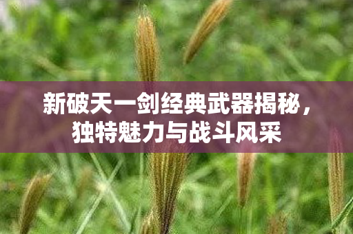 新破天一剑经典武器揭秘图片