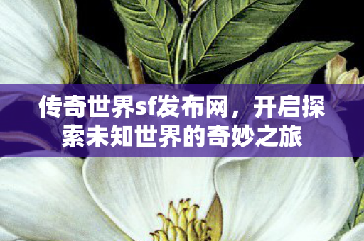 开启探索未知世界的奇妙之旅图片