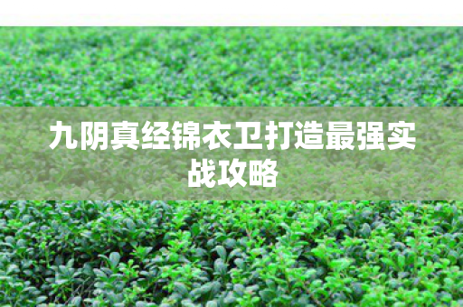 九阴真经锦衣卫打造最强实战攻略图片