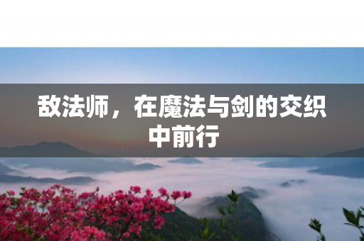 在魔法与剑的交织中前行图片