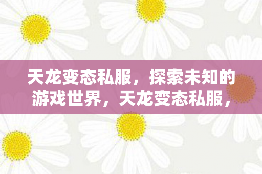 天龙变态私服，探索未知的游戏世界，天龙变态私服，探索未知的游戏世界